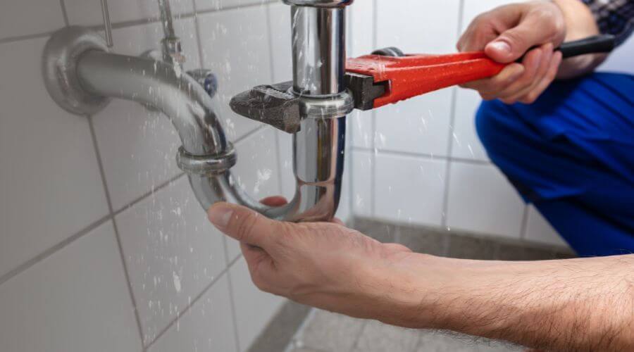 Professional Leak Detection services in Pandora, TX